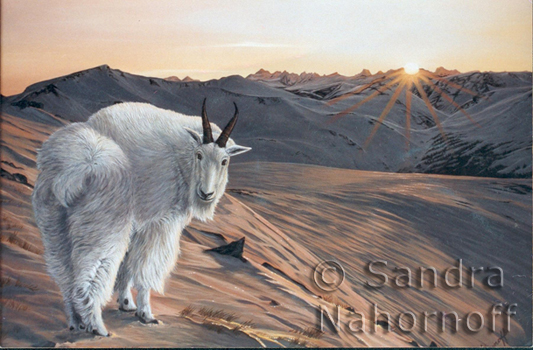Mountain Goats by Sandra Nahornoff