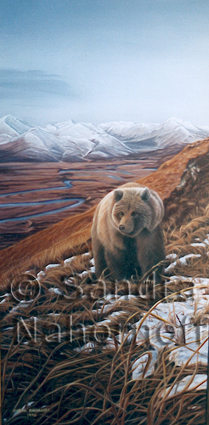 Kodiak Bear by Sandra Nahornoff