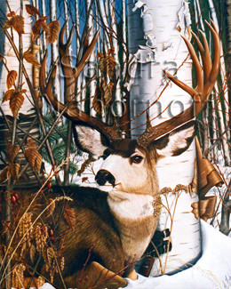 Mule Deer by Sandra Nahornoff